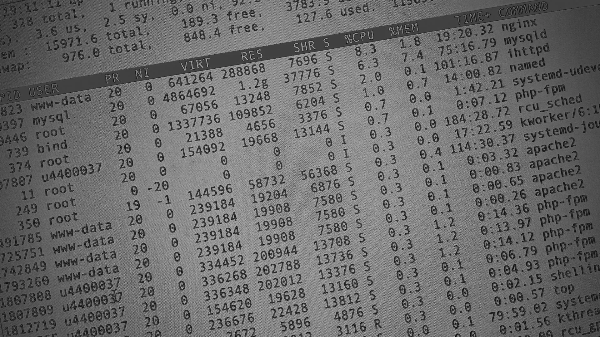 Настройка сервера в Белинском