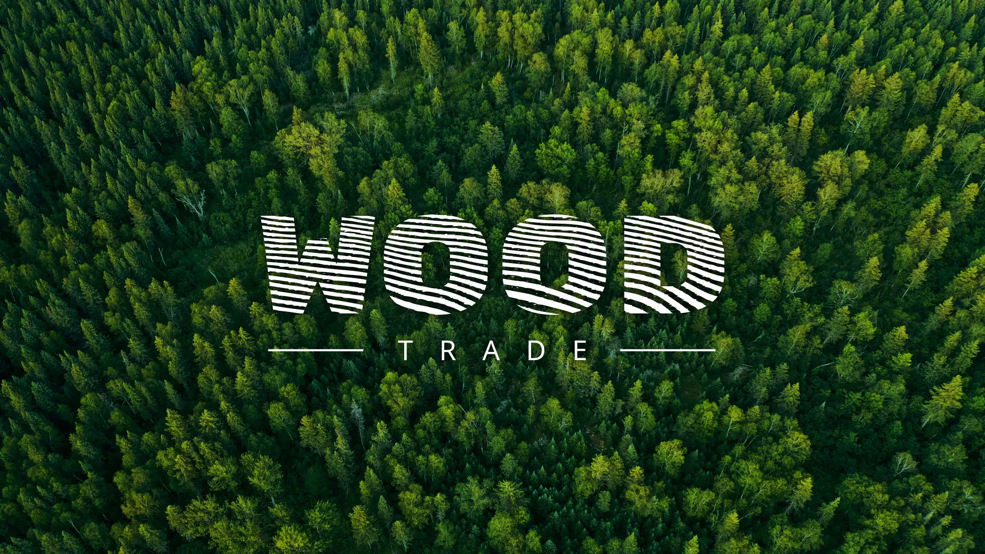 Разработка интернет-магазина компании «Wood Trade» в Белинском